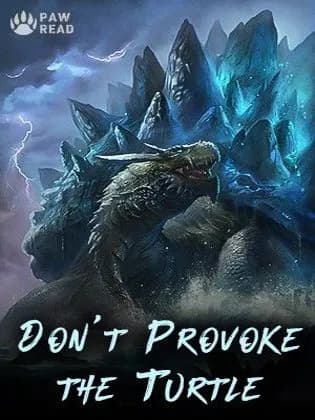 Don't Provoke the Turtle